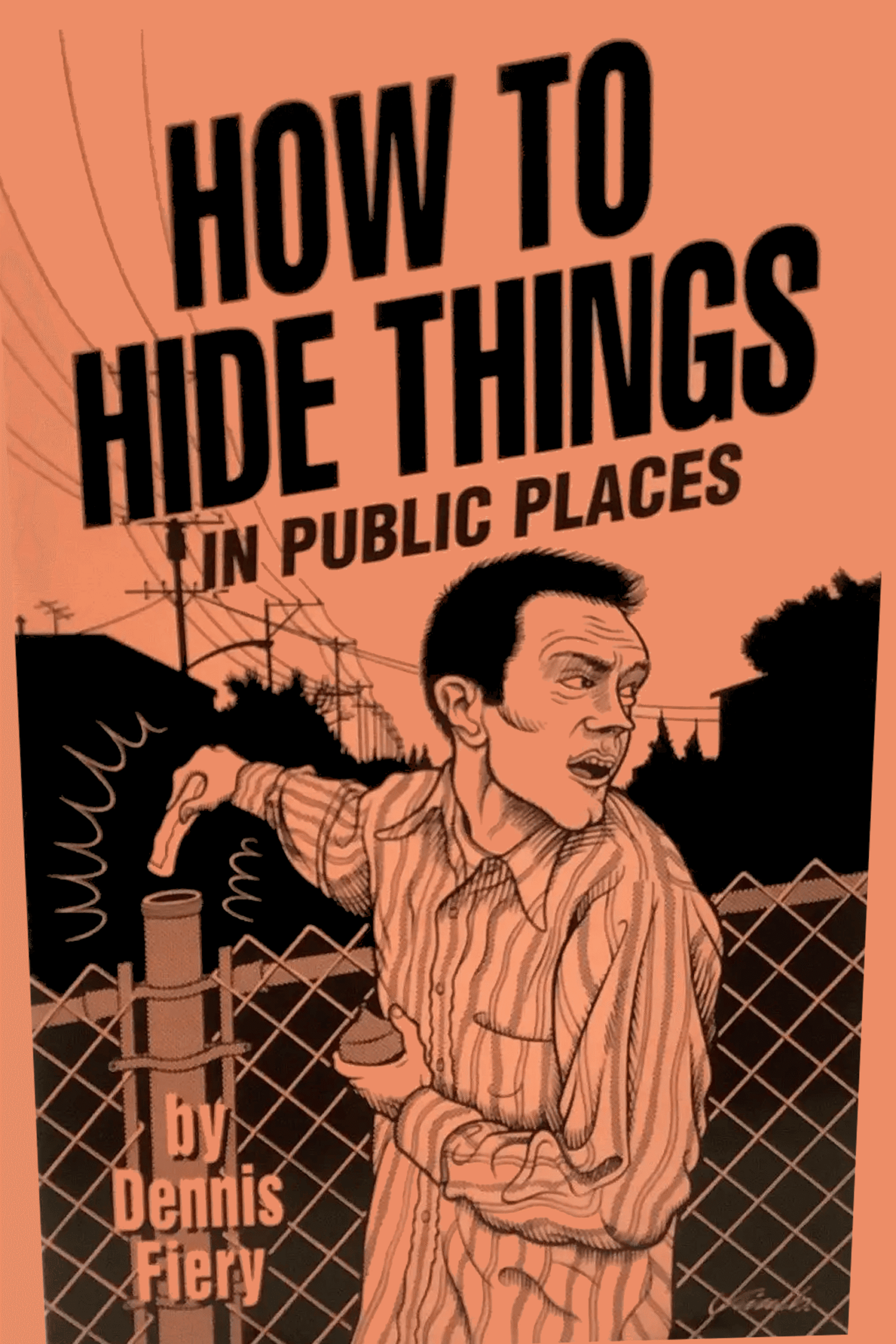 How to Hide Things in Public Places
