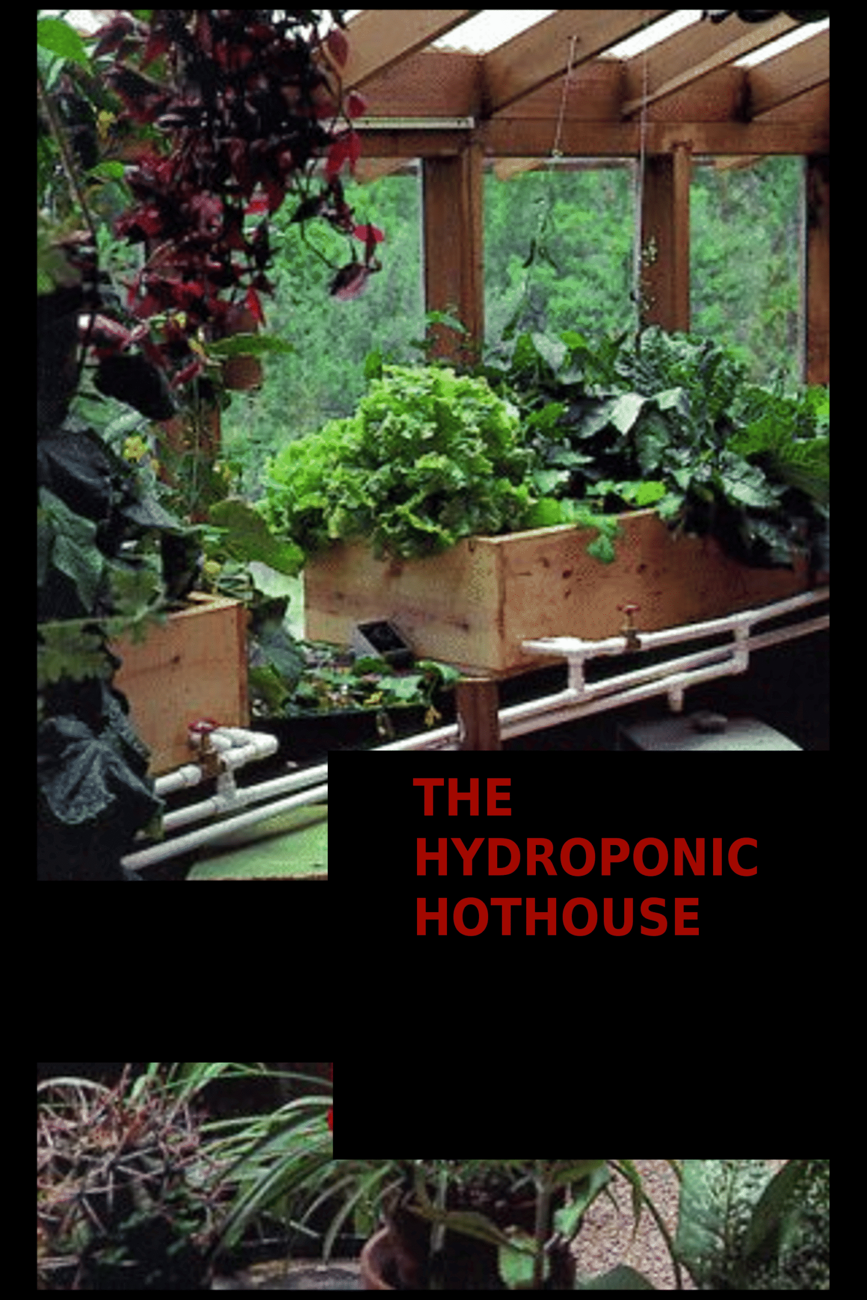 The Hydroponic Hot House